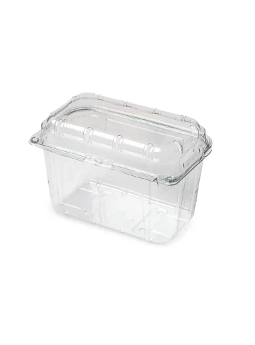 Caserole fructe 1000g cu capac